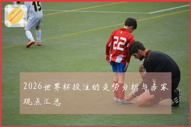 2026世界杯投注的走势分析与专家观点汇总