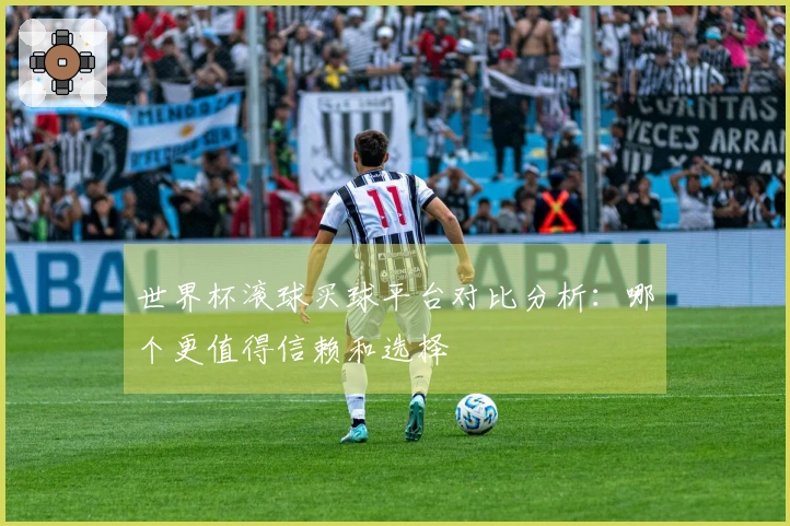 世界杯滚球买球平台对比分析：哪个更值得信赖和选择