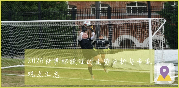 2026世界杯投注的走势分析与专家观点汇总