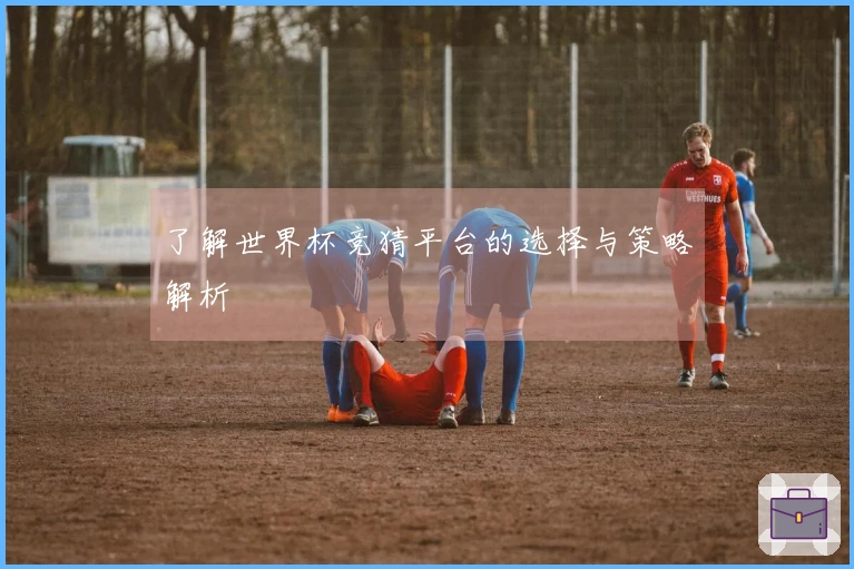 了解世界杯竞猜平台的选择与策略解析