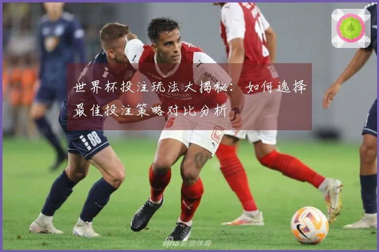 世界杯投注玩法大揭秘：如何选择最佳投注策略对比分析