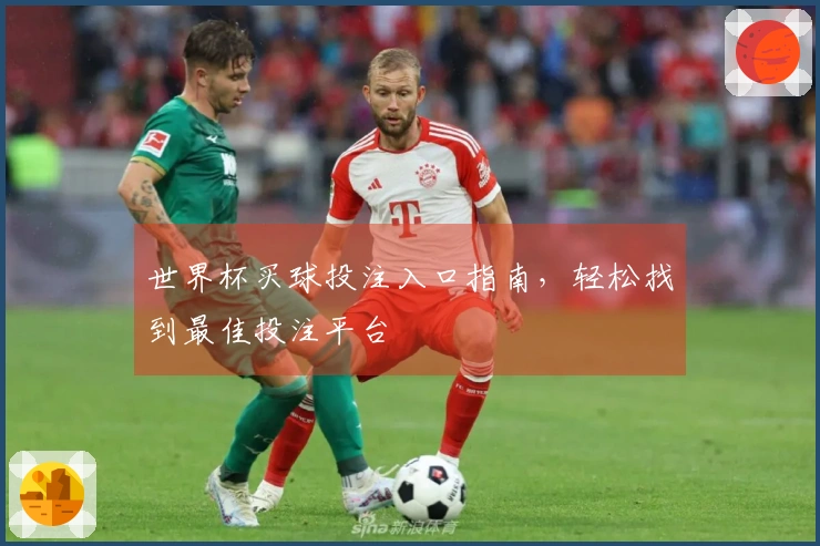 世界杯买球投注入口指南，轻松找到最佳投注平台