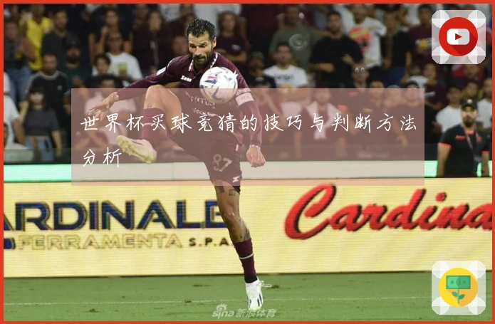 世界杯买球竞猜的技巧与判断方法分析