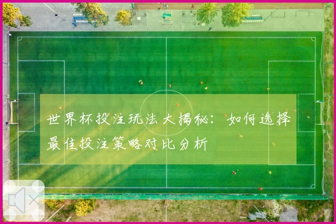 世界杯投注玩法大揭秘：如何选择最佳投注策略对比分析