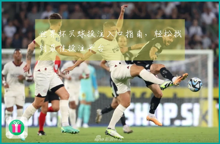 世界杯买球投注入口指南，轻松找到最佳投注平台