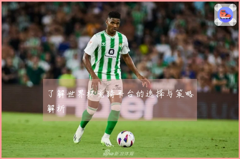 了解世界杯竞猜平台的选择与策略解析